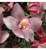 Букет с орхидеями «Минимализм» 2